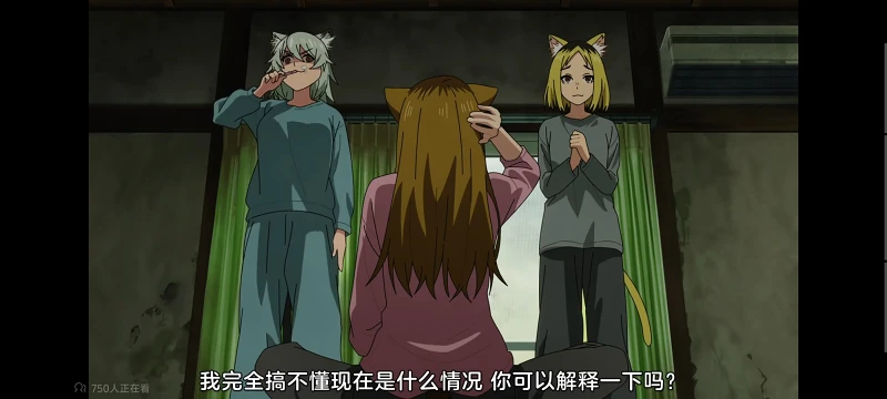 尼古喵喵,雅尼猫,动画,动漫,番剧,二次元,ACG,日漫