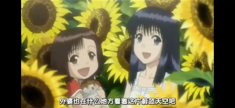 物怪,水树奈奈,川澄绫子,老番,动漫,感想
