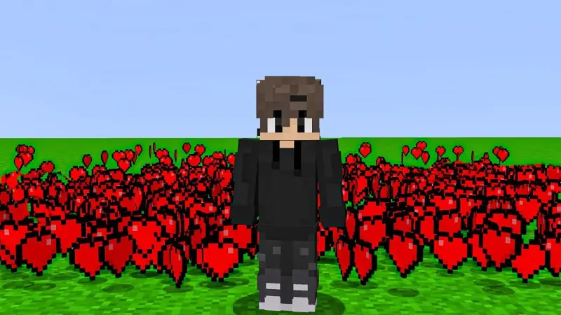 【Minecraft Curios】当红心最多的人成为不朽