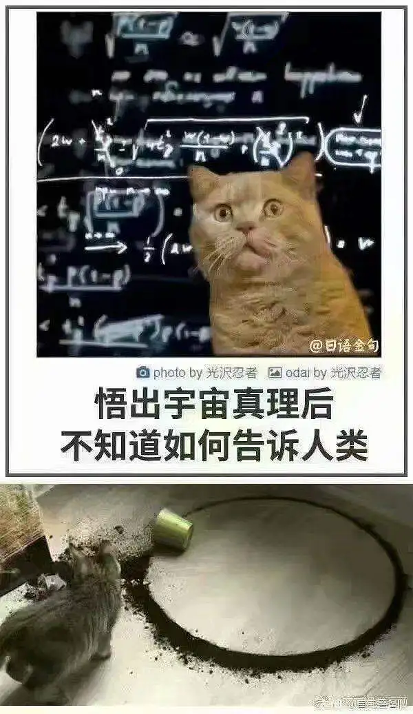 沙雕图