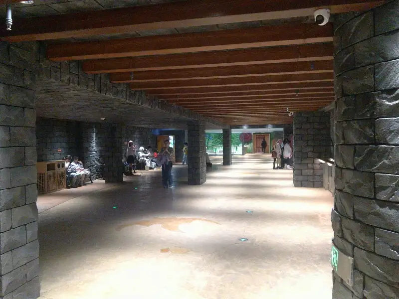 漫展