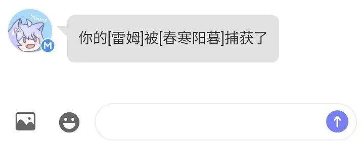闲聊茶馆,宠物