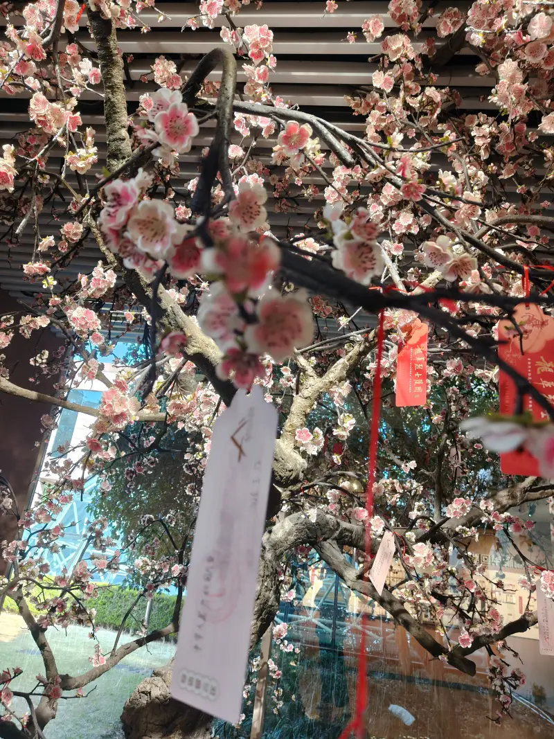 日常