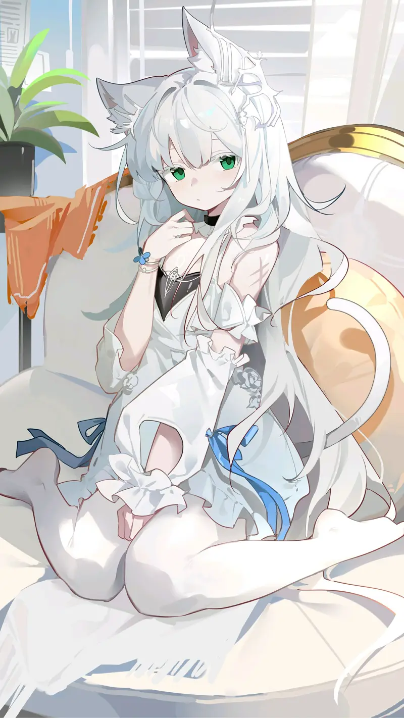 美图