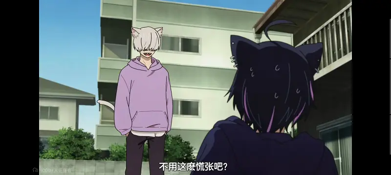 尼古喵喵,雅尼猫,动画,动漫,番剧,日漫,二次元,ACG