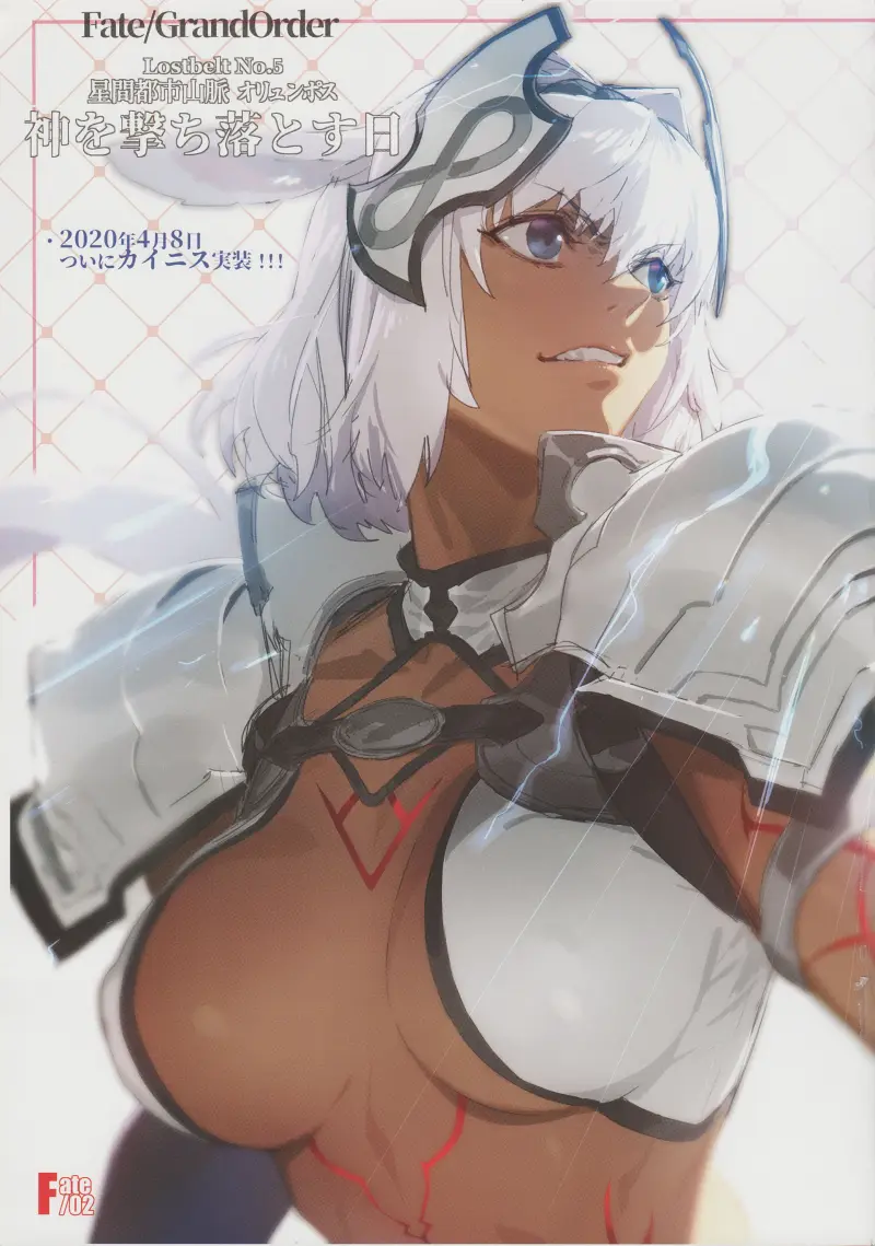 同人志,型月,FGO,Fate,命运冠位指定