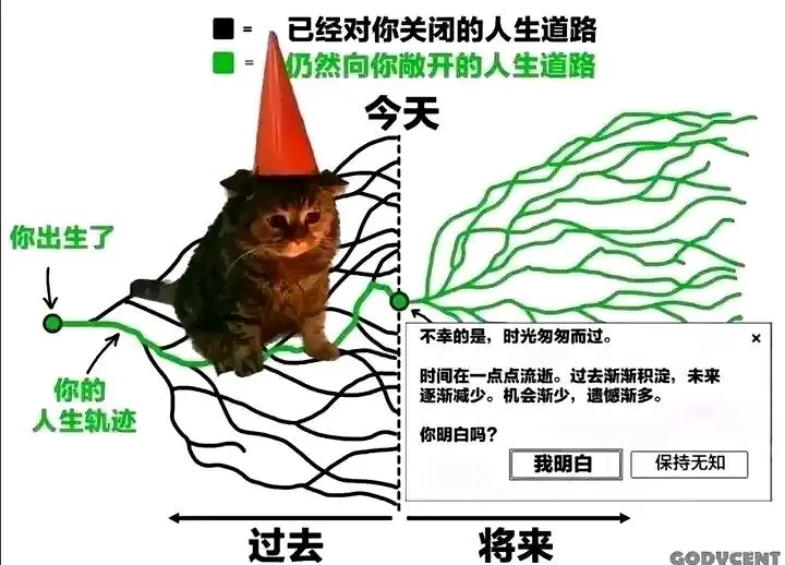 meme