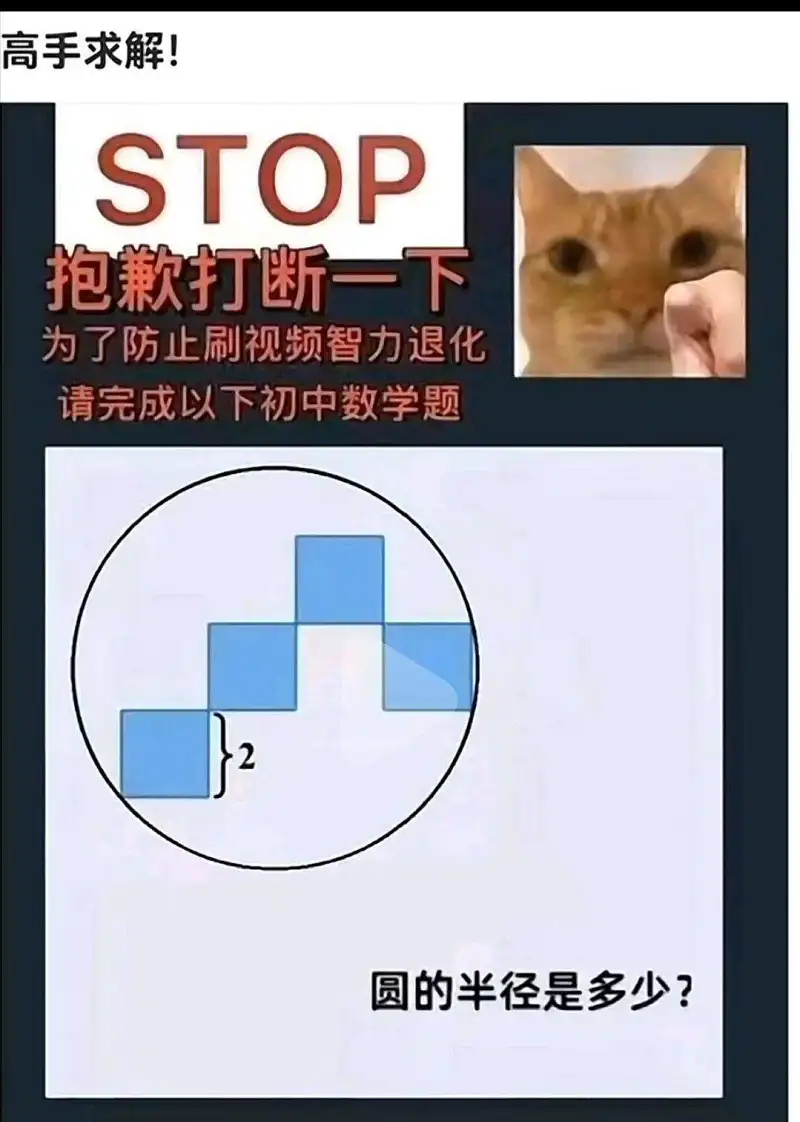 新人报道,新人