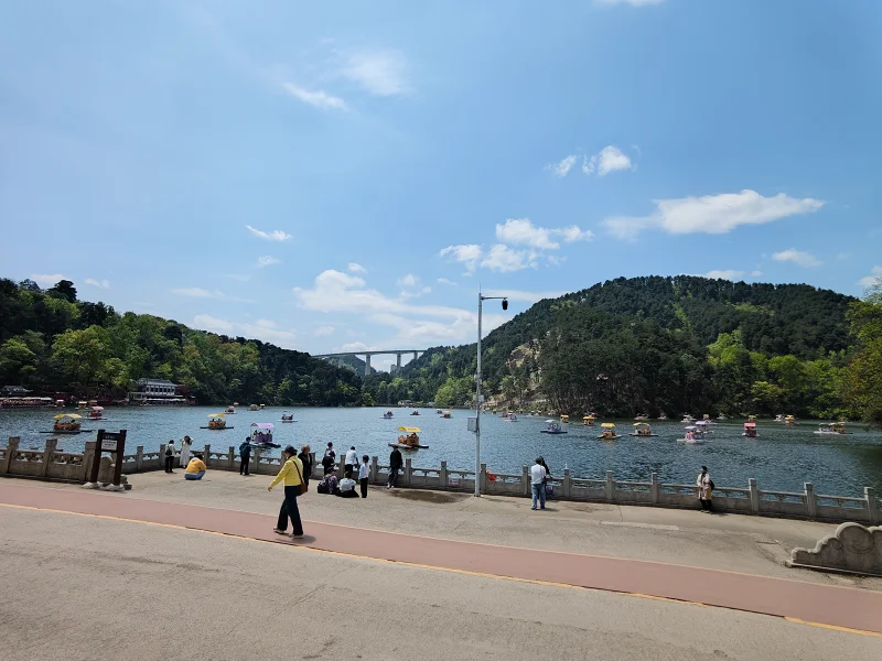 旅行