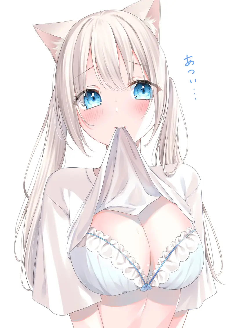 猫娘,涩图,新人,二次元