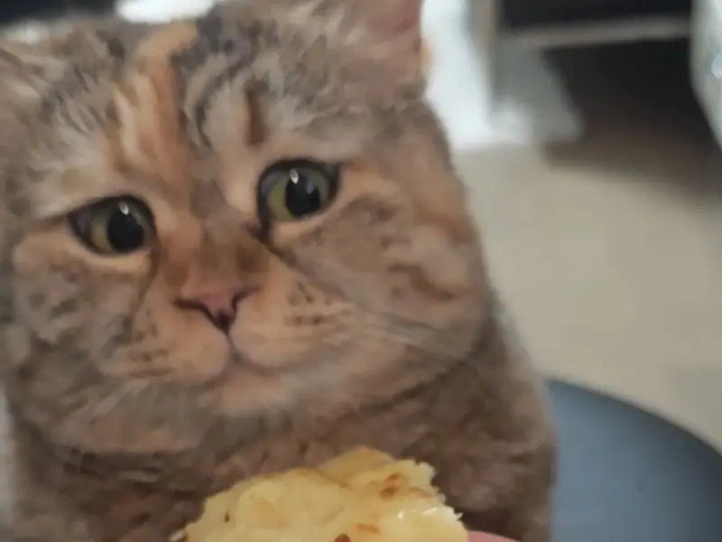 昨天炒的饭 (*≧m≦*)