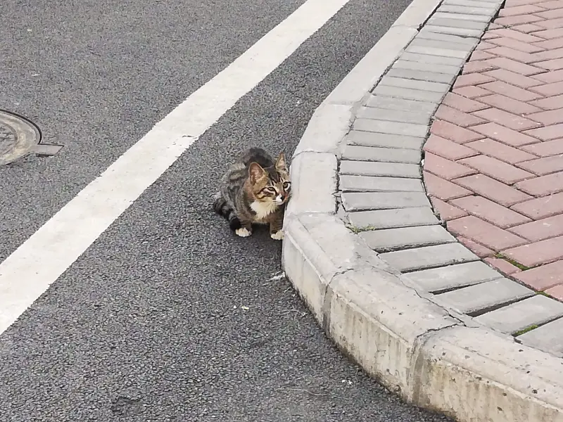 摄影