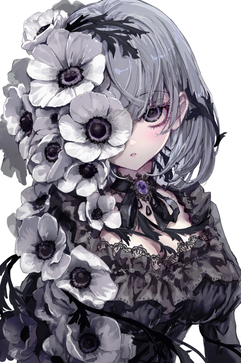 【美图鉴赏】第四十二期