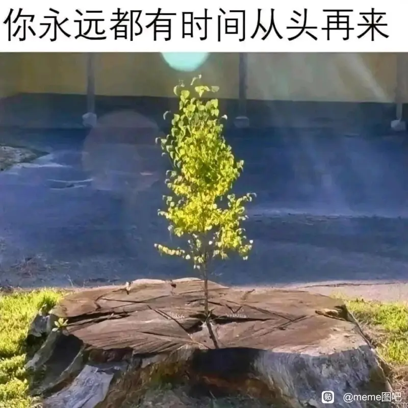 来点哲学meme吧