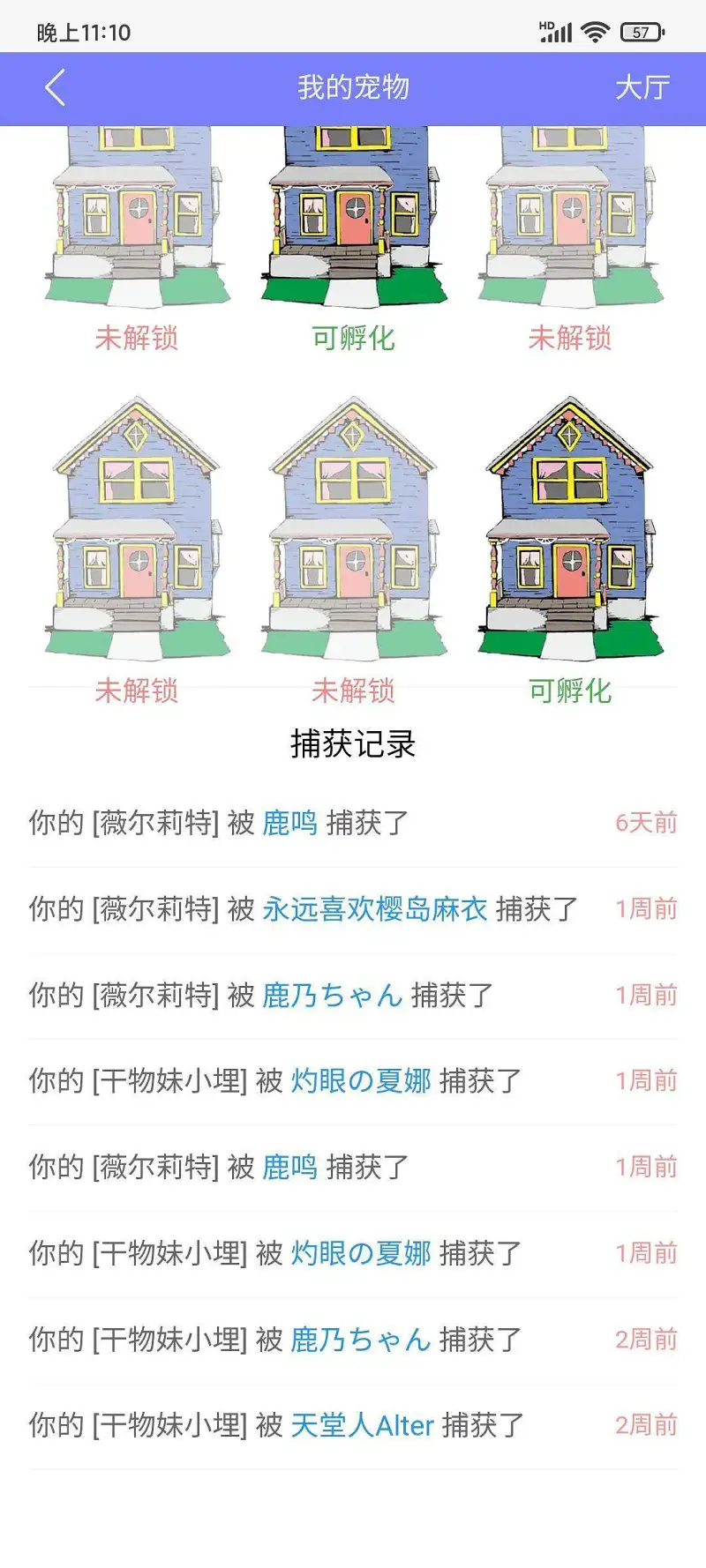 用户交流,宠物