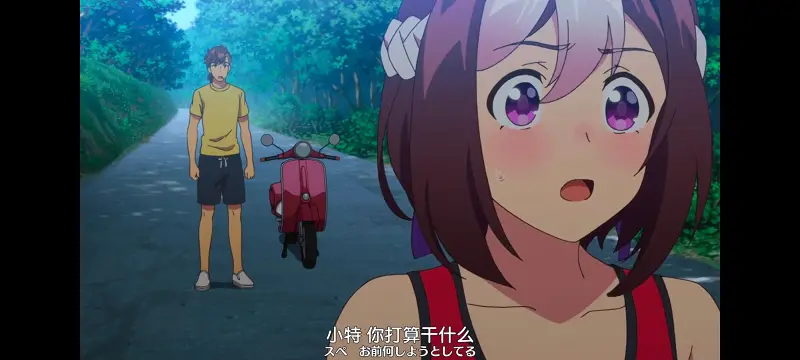 赛马娘,赛马娘PrettyDreby,动画,动漫,番剧,ACG