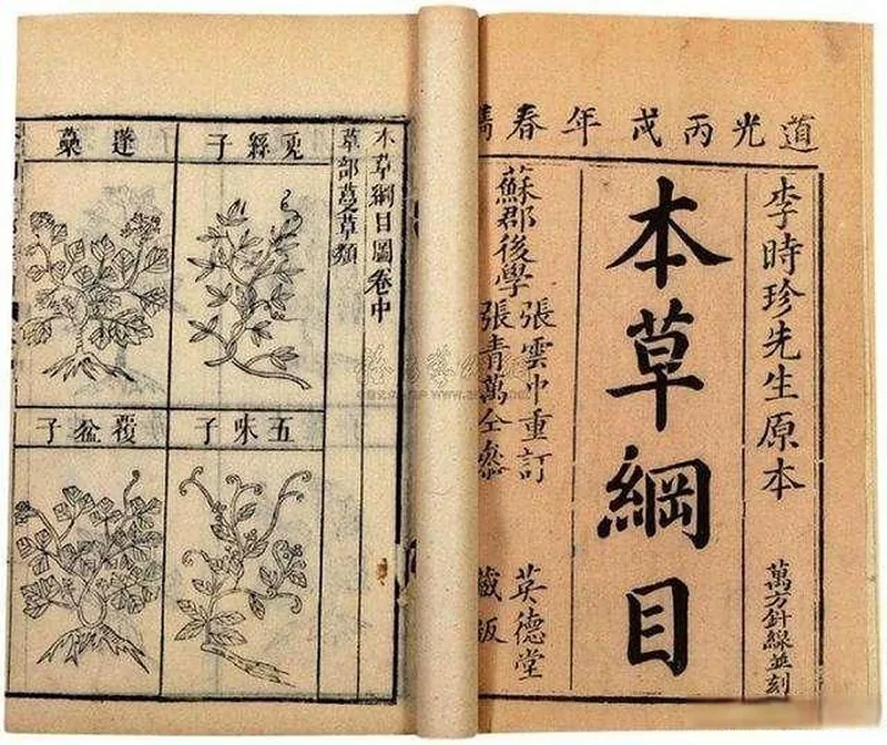 伪中医,蓝与白工作室,星空