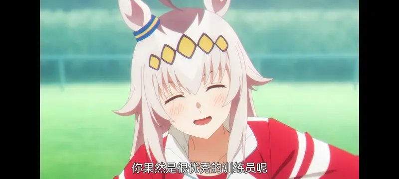 赛马娘,赛马娘芦毛灰姑娘,芦毛灰姑娘,动画,动漫,赛马娘PrettyDreby,番剧,ACG