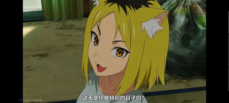 尼古喵喵,雅尼猫,动画,动漫,番剧,日漫,二次元,ACG
