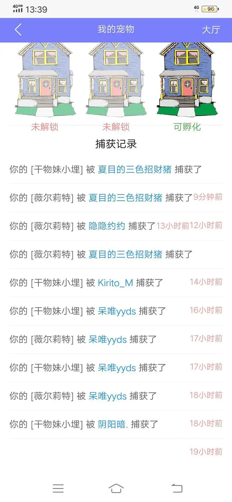 用户交流,宠物