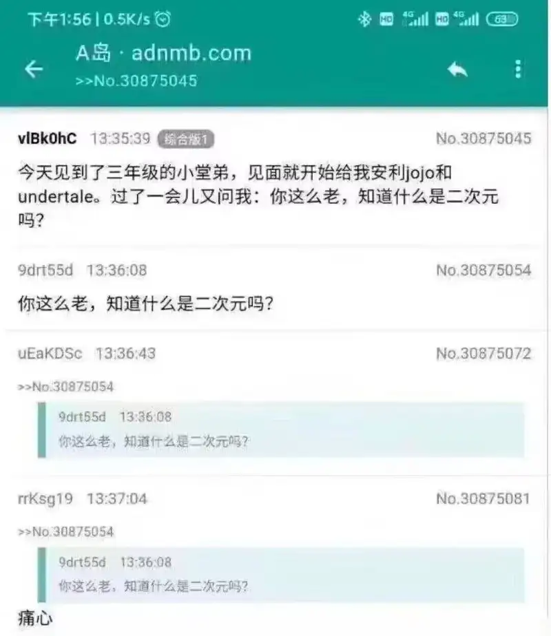 你这么老，知道什么是二次元吗