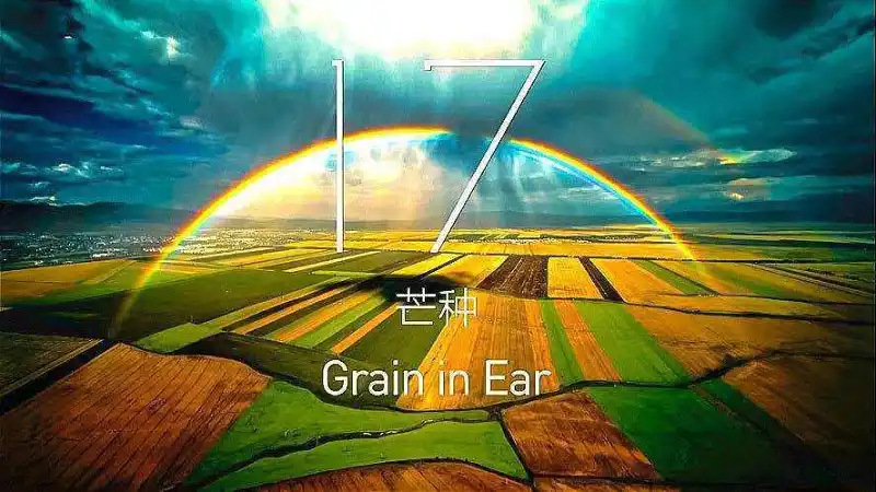 闲聊茶馆,壁纸