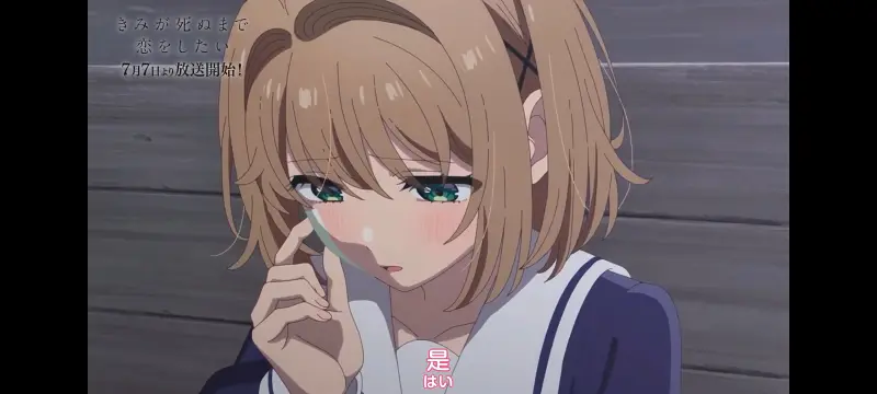 与你相恋到生命尽头,与你相恋到世界尽头,动画,动漫,番剧,百合,二次元,ACG
