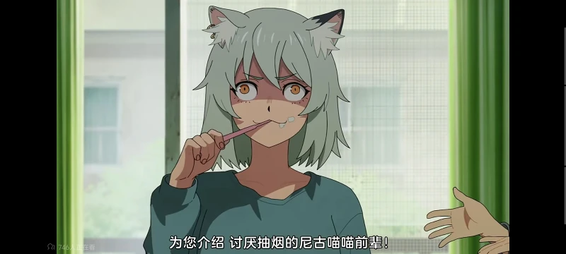 尼古喵喵,雅尼猫,动画,动漫,番剧,二次元,ACG,日漫