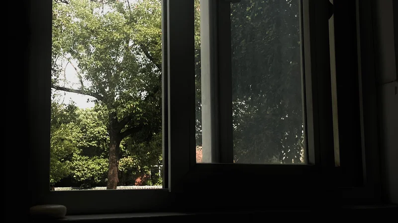 照片,M站