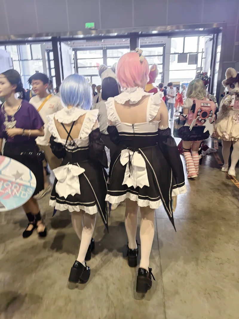 漫展,二次元,东方project,术力口,初音未来,镜音双子,特摄,奥特曼,Minecraft,痛车