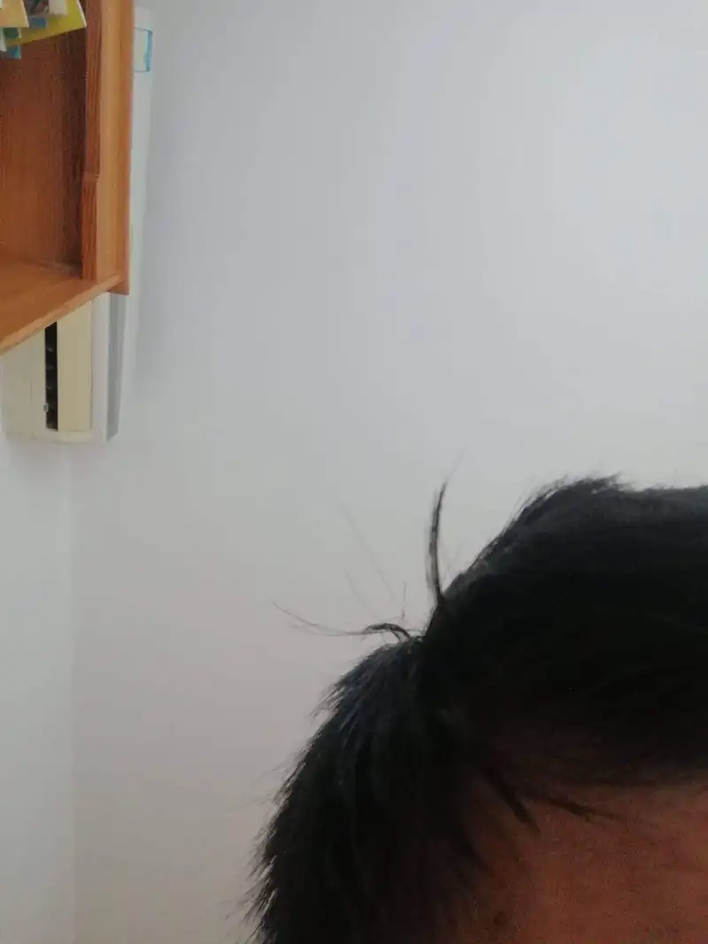 三次元呆毛——限时版