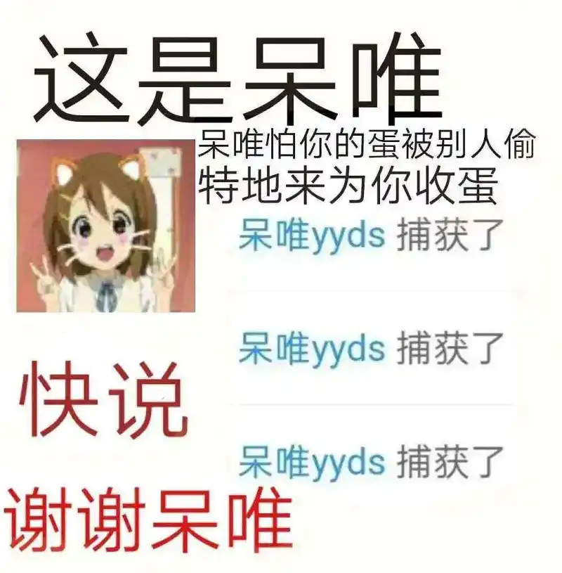 用户交流,宠物