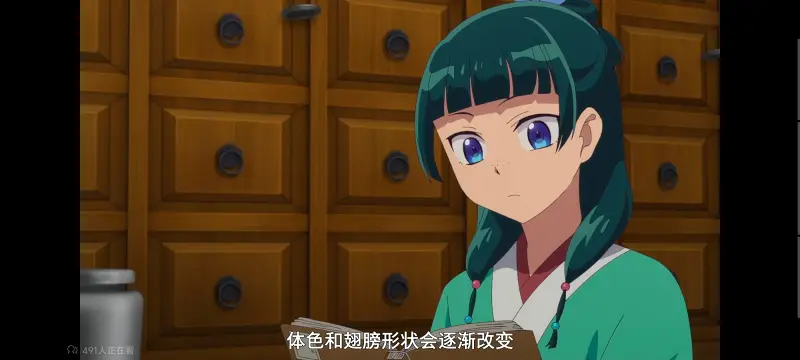 药屋少女的呢喃,药师少女的独语,动画,动漫,番剧,日漫,二次元,ACG