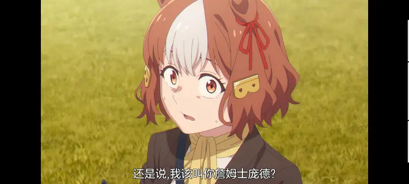 赛马娘,赛马娘PrettyDreby,赛马娘芦毛灰姑娘,芦毛灰姑娘,动画,动漫,番剧,ACG