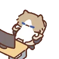 表情包,月薪喵,猫咪表情包,猫meme,哈基米
