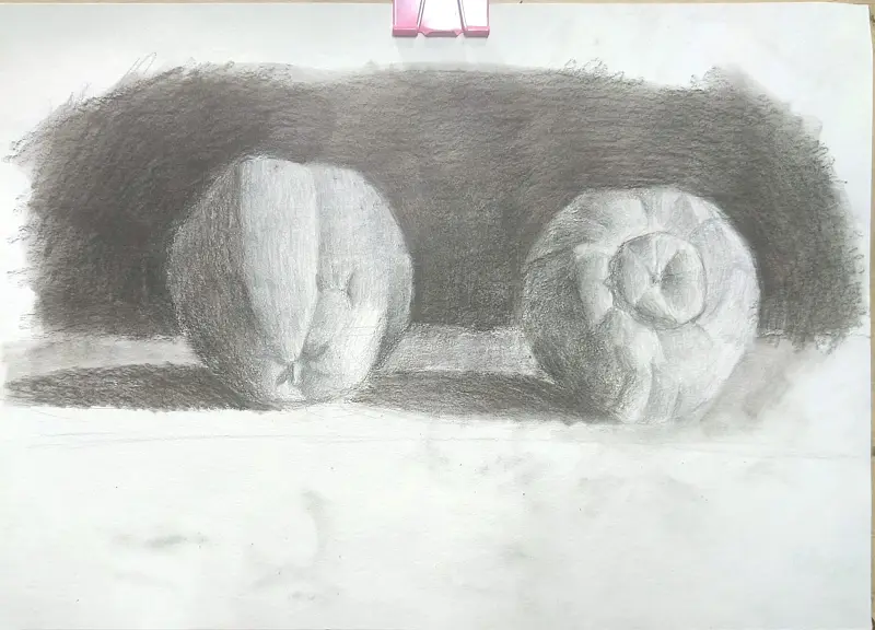 素描,练习,静物