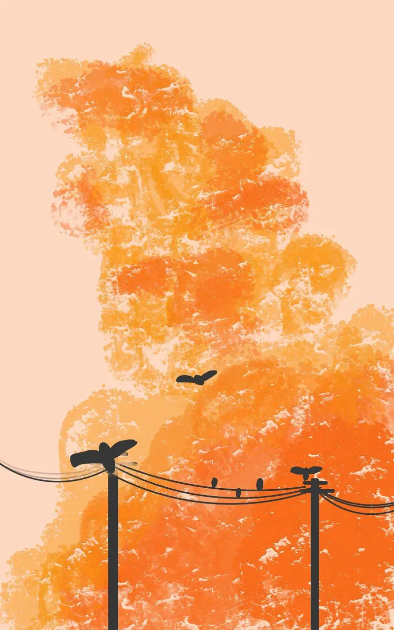 绘画创作