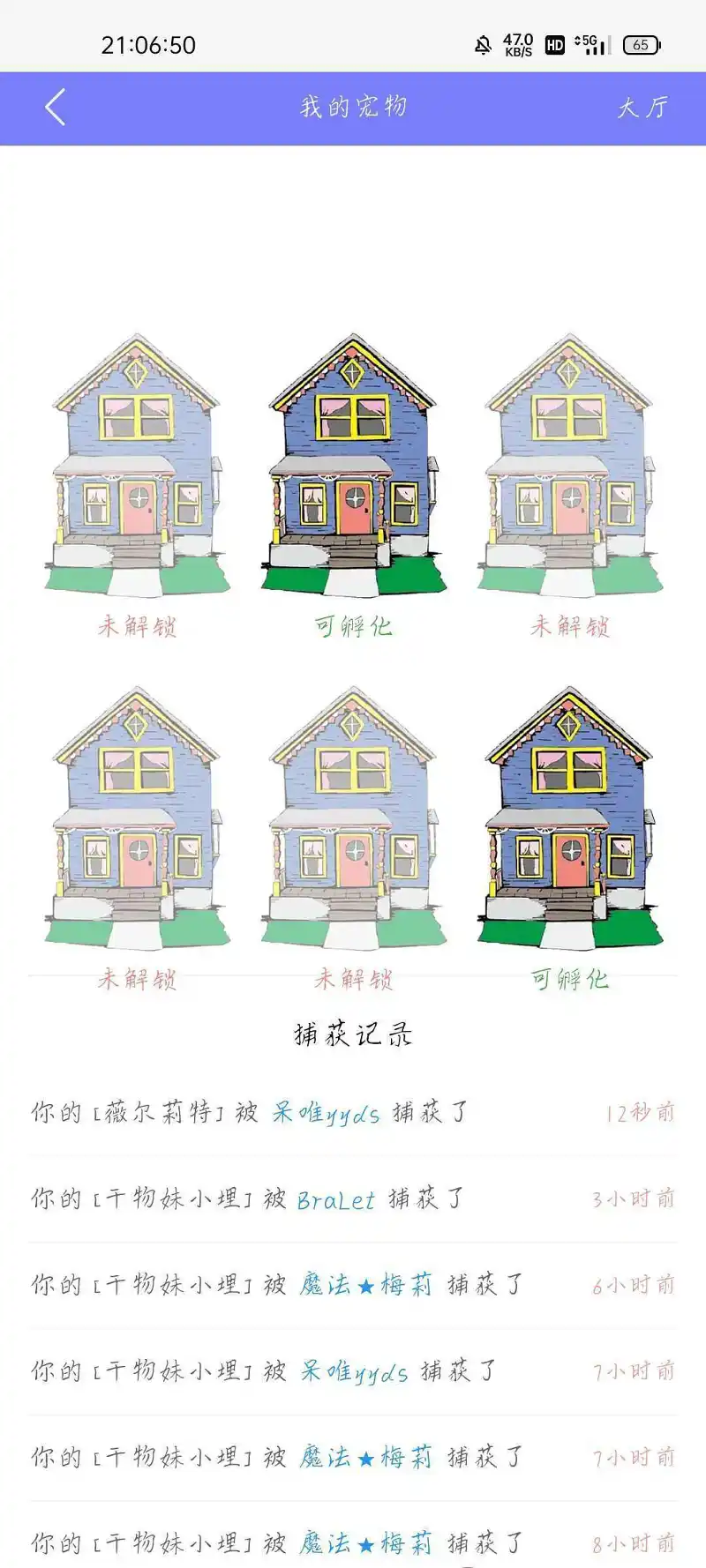 闲聊茶馆,宠物