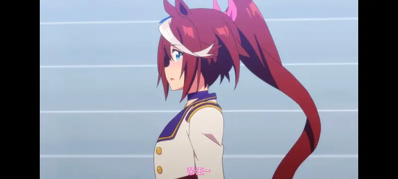 赛马娘,赛马娘PrettyDerby,赛马娘第二季,番剧,动画,动漫,二次元,ACG