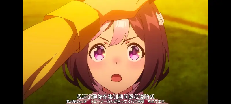 赛马娘,赛马娘PrettyDreby,动画,动漫,番剧,ACG