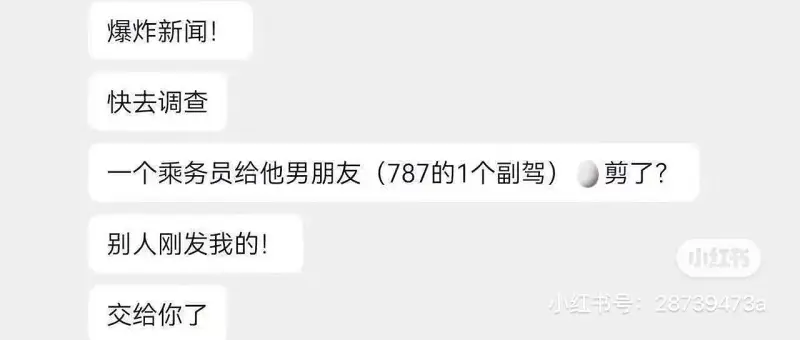 廠門航空某副駕駛亂搞關係竟被卸載QQ？