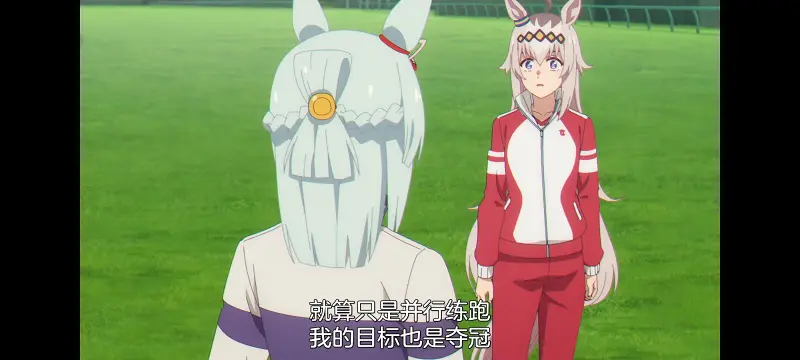 赛马娘,赛马娘芦毛灰姑娘,芦毛灰姑娘,动画,动漫,赛马娘PrettyDreby,番剧,ACG