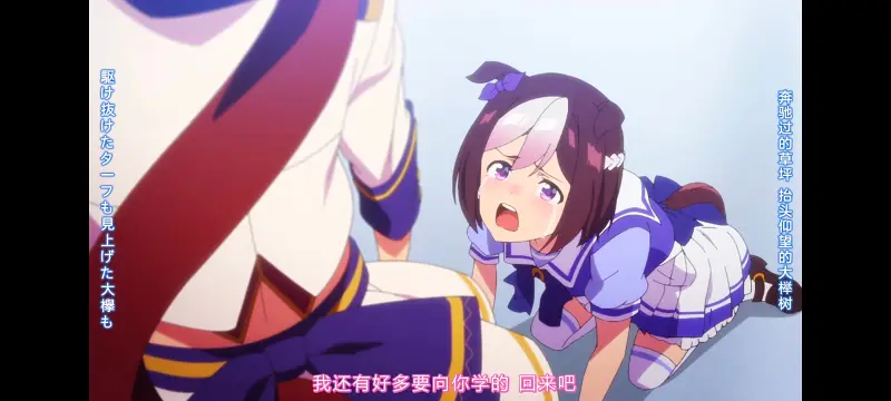赛马娘,赛马娘PrettyDerby,赛马娘第二季,番剧,动画,动漫,二次元,ACG