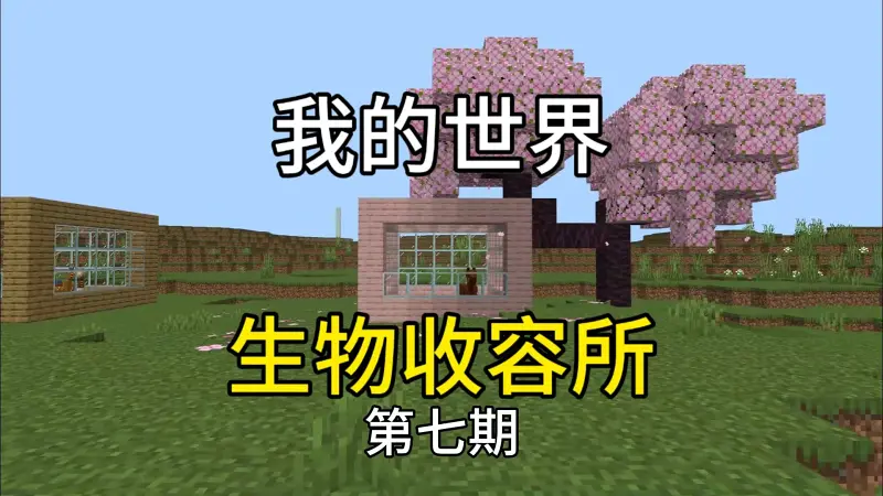 挑战收集MC全部生物第七期