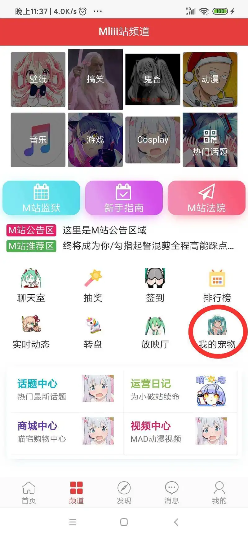 新人报道,用户交流,新人,孵蛋