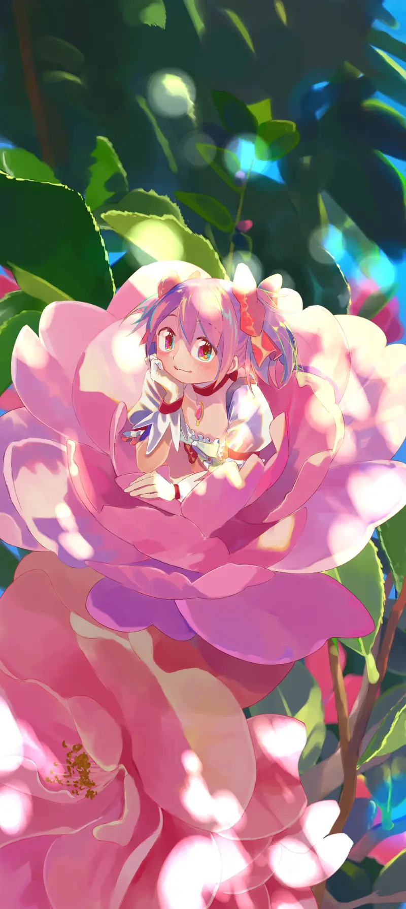 魔法少女小圆,魔法少女,魔圆,鹿目圆,鹿目圆香,动漫美图,动漫壁纸,美图,壁纸,绘画,插画,推特,画师推荐