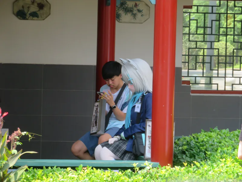 碧蓝档案