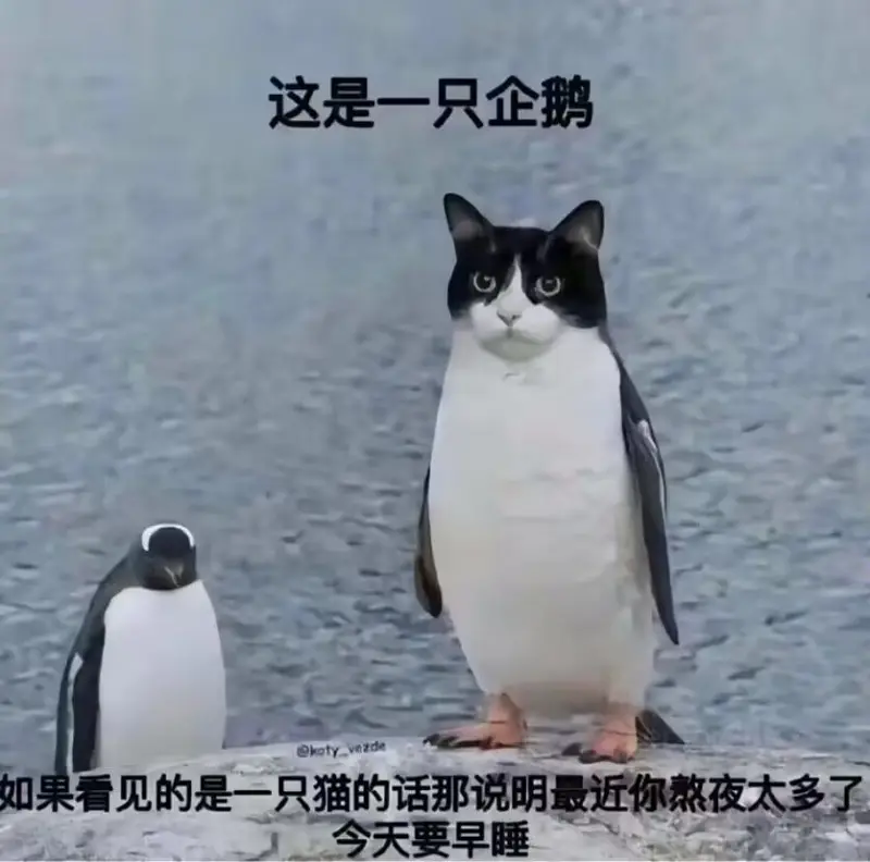 梗图,明日方舟,木柜子