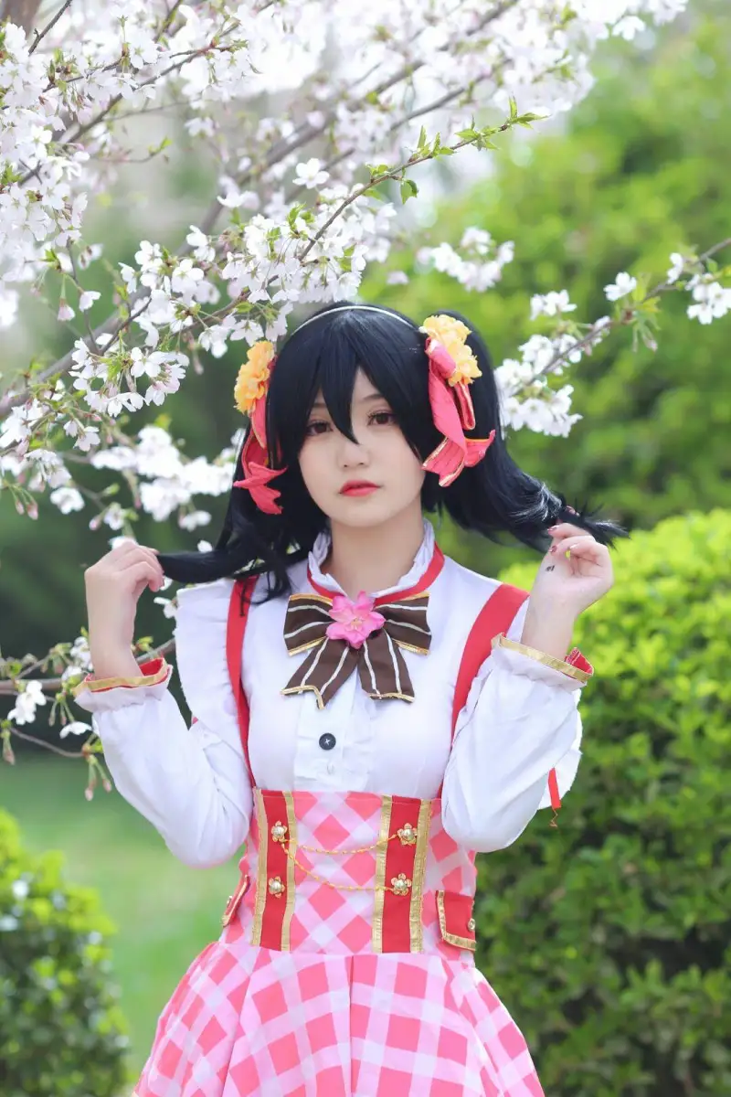 动漫专区,COSPLAY,动漫,矢泽妮可