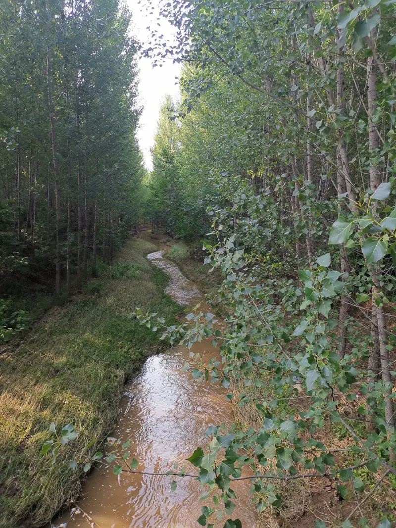 闲聊茶馆,整活